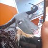 lili00_97
