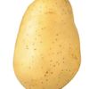 alisalalalal8