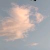 astrophile1477