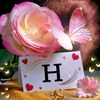 user1101572503617
