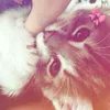kxqlna0