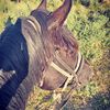 _arsen_074