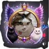 user6176206030235