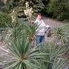 user7002412375439