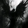 hobooedits1