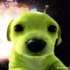 cringe_cat51