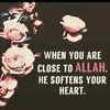 hareem.malik54