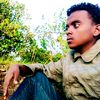 zedo.habesha