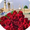 sadeel.miohza