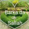 ahmadoub617gmail.com