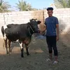 bacer.bacer