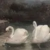 vikkkkkkkaaa