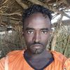 user1406682141553