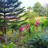 sk_gardens