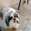 elianavargas6702