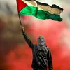 ahmed.radi980