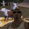 wolodastets213