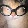 iukitkatt08