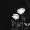 d1710.1