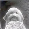 tuffbutstillcutestuff231