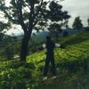 prlangga