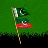 tariq.khan7024