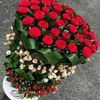 omyoucef199722