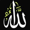 ic.co1