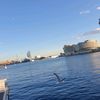 ahmed.gh822