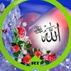 user3625871591636