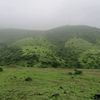 nayef0664