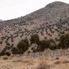 mahmod.ghaddor