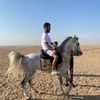 mohamedomara0377
