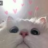 michelle_9035_6