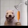 edltzcc