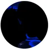 zo_love7