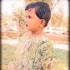 areenfatima31