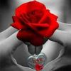 user846126861811