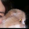 mayayousef696