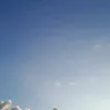 fefevieira09