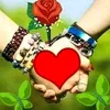 user1254492947557