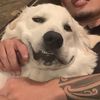 leo_steppa