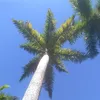 _blueysky
