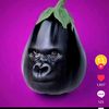 monkeyape10