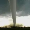 tornade.life