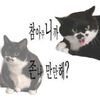 __dusdn