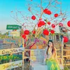miumiu_gl81
