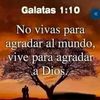 elvisalbornozz