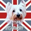 starlett_the_westie