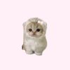 c.utiepinkky_